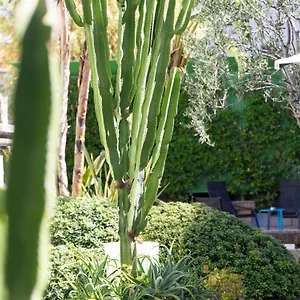 Mercure Centre Notre Dame Hotel